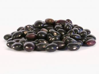 Black Beans: food efficiency