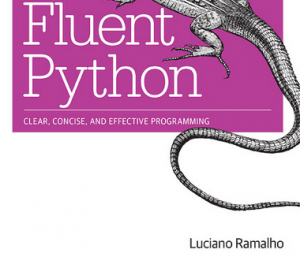 writing idiomatic python pdf