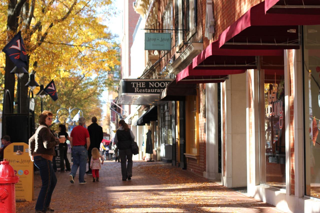 Charlottesville’s pedestrian Downtown Mall on a calm fall day in 2013.