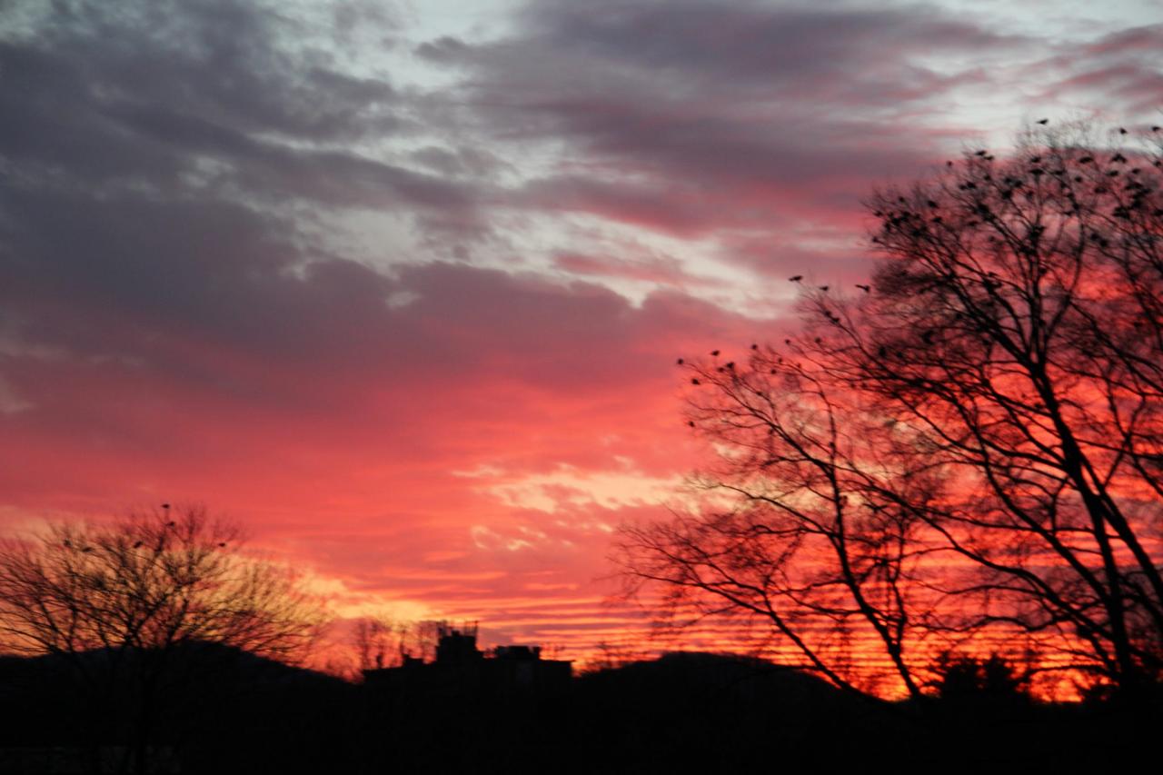 Charlottesville’s winter sky at sunset.